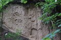 21 DSC00610